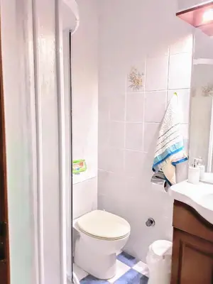 a small bathroom with a toilet and a shower at La Casa Di Silvia in Apolakkiá