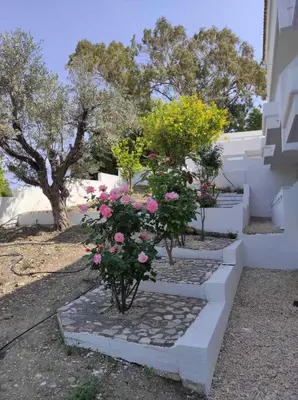 a group of stairs with pink flowers on them at Arocaria - Faliraki peaceful apartments in Faliraki