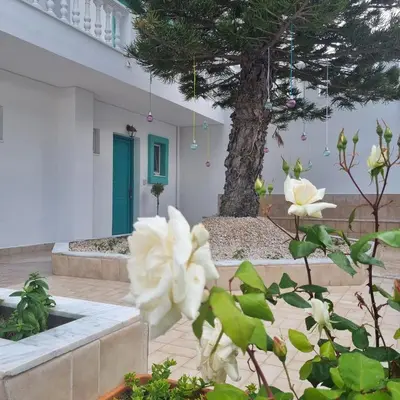 a garden with white flowers and a tree at Arocaria - Faliraki peaceful apartments in Faliraki