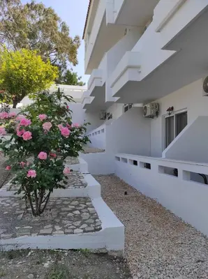 a plant with pink flowers sitting next to a building at Arocaria - Faliraki peaceful apartments in Faliraki