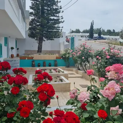 a bunch of red roses in a garden at Arocaria - Faliraki peaceful apartments in Faliraki