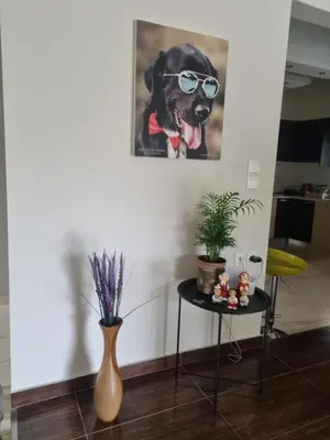 a picture of a dog with sunglasses on a wall at Precious Emma's House in Afantou
