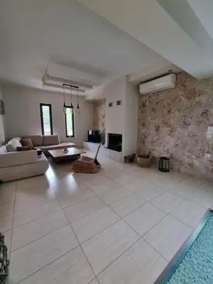 a large living room with a couch and a fireplace at Precious Emma's House in Afantou