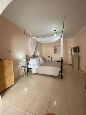 a bedroom with a bed with a canopy at Kasteli Cozy House in Archangelos