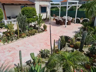 a garden with cacti and plants in a house at Cactus Living in Ialyssos