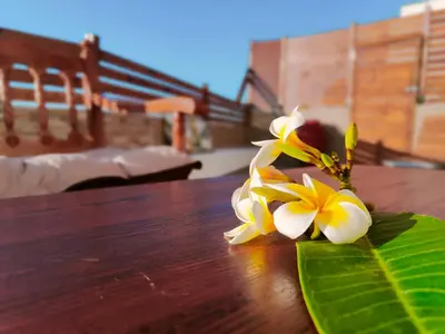a bunch of flowers sitting on top of a wooden table at Casa di Rena Private House with Sunset View in Kritinía