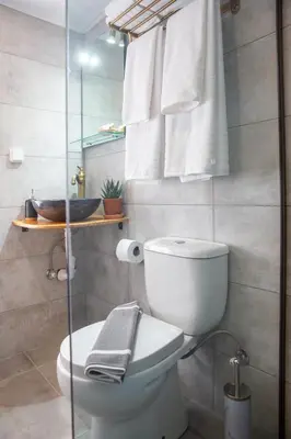 a bathroom with a toilet and a glass shower at Stone Arch in Malona Village