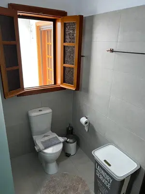 a small bathroom with a toilet and a window at Johannes House in Afantou