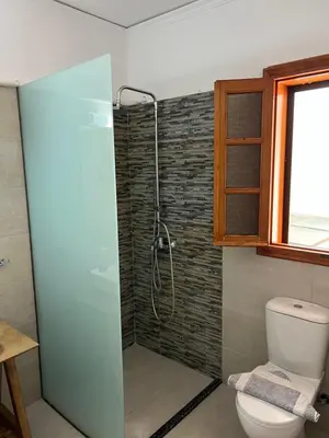 a bathroom with a shower and a toilet at Johannes House in Afantou