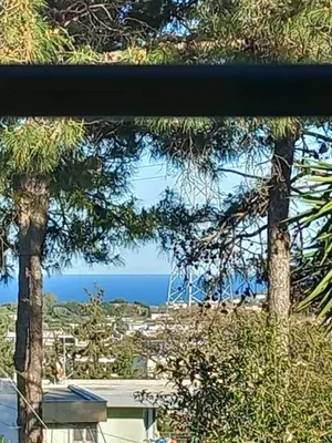a view of the ocean through some trees at Apartment Margerita in Asgourou