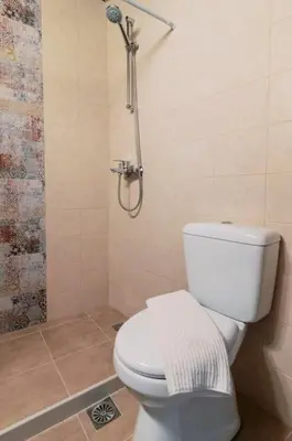 a bathroom with a toilet and a shower at Kristinas View Studios in Rhodes Town