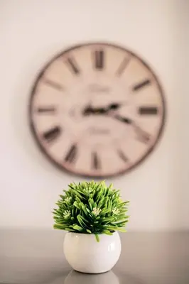 a clock on a wall with a plant in a vase at Fay's Suites in Ialyssos