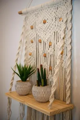 a shelf with two plants on top of it at Charavgi Apartment 1 in Kremasti