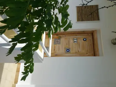 a wooden box on the side of a wall with a plant at Gorgona Studios in Faliraki