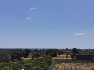 a view of a field with trees and a blue sky at Olea Luxury Apartment in Afantou