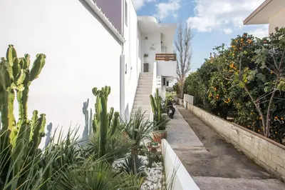 a house with cacti and plants on the side of it at Olea Luxury Apartment in Afantou