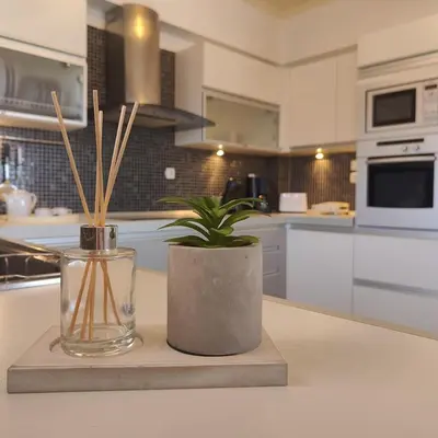 a kitchen with a plant in a vase on a counter at Aithrea's HOMES in Pastida Rhodes in Pastida