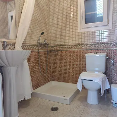 a bathroom with a shower and a toilet and a sink at Aithrea's HOMES in Pastida Rhodes in Pastida