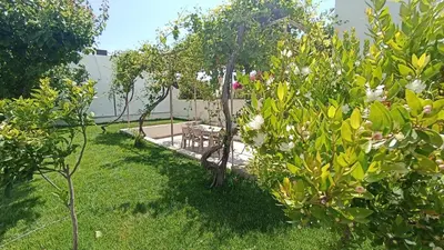 a garden with trees and a table in the grass at Dimitra - Kattavia surf houses in Kattavía