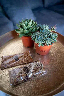 two potted plants and cookies on a table at Villa Danae - Lindos in Líndos
