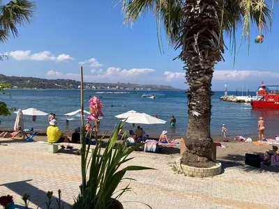 a beach with a palm tree and people on the beach at Restaurant Maria Suites SunRise in Faliraki