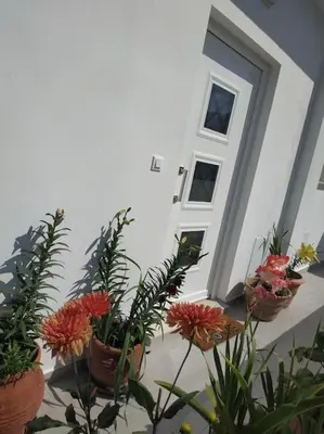 a group of potted plants in front of a door at Restaurant Maria Suites SunRise in Faliraki