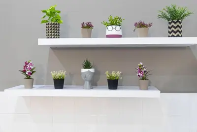 a shelf with potted plants on it at Nikolias dream house in Ialyssos