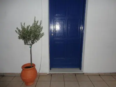 a plant in a pot next to a blue door at Pavlos Rooms in Livadia