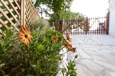 a flower bush on a sidewalk next to a fence at Serenity Studio for couples in Rhodes Town