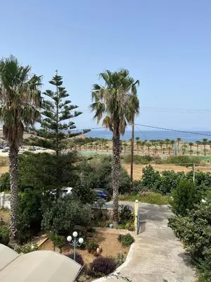 a view of a park with palm trees and the ocean at Agapi's Seaside Place in Faliraki
