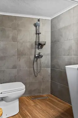 a bathroom with a shower and a toilet at Alonia Traditional House in Malona in Malona Village