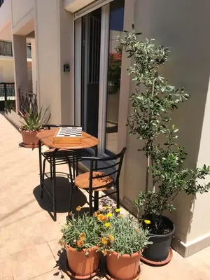 a patio with a table and chairs and potted plants at Haplotēs Rhodes Studio in Koskinou