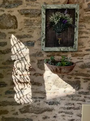a shadow of a window and a potted plant on a stone wall at Katrani studios in Symi