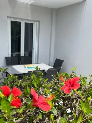 a bush with red flowers in front of a table at Silver Palm House Ixia, Rhodes in Ixia