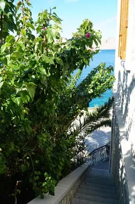a stairway with plants and the ocean in the background at Petalo House in Symi