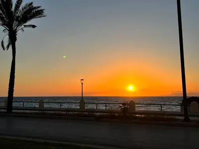 a sunset on the beach with a palm tree at Appartement in Rhodos Stadt in Rhodes Town