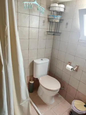 a bathroom with a toilet and a shower curtain at Casa Amalia in Paradeísion