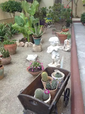 a cart full of potted plants in a garden at Hotel Anastasia in Rhodes Town