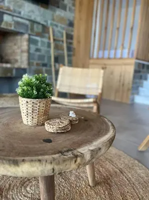 a table with a potted plant on top of it at Alindo Villa II, in Lindos area in Líndos