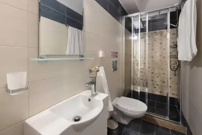 a bathroom with a sink and a toilet and a shower at Elena in Symi