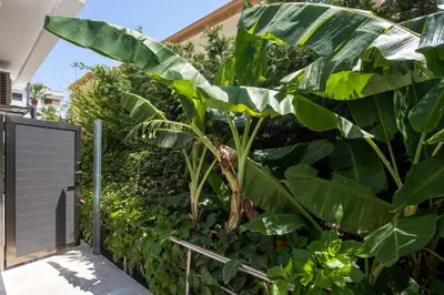 a large green plant next to a fence at Rodi Luxury Apartment in Rhodes Town