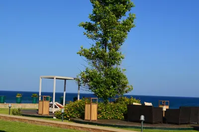 two trees in a park with the ocean in the background at Private beach villa Princess in Kiotari