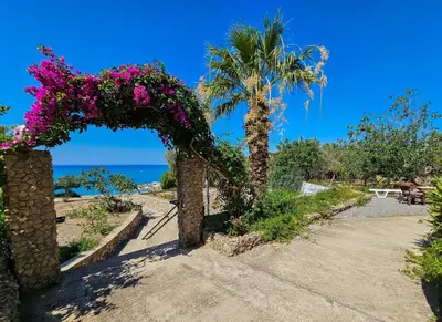 a garden with a palm tree and a arch with pink flowers at George Seaside Serviced Studios & Apartments in Pefki Rhodes