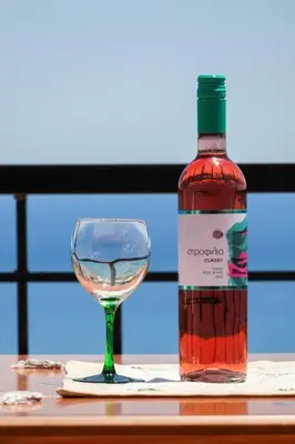 a bottle of wine and a glass on a table at Petronas Land House 2 in Archangelos