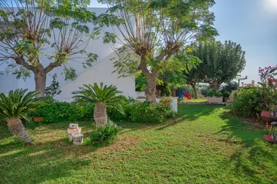 a garden with trees and plants in a yard at Nikolas Apartment in Pefki Rhodes