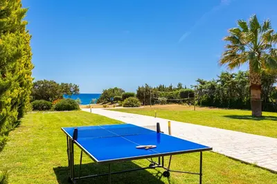 a blue ping pong table sitting on the grass at Villa Pelagos Blue in Yennadhion