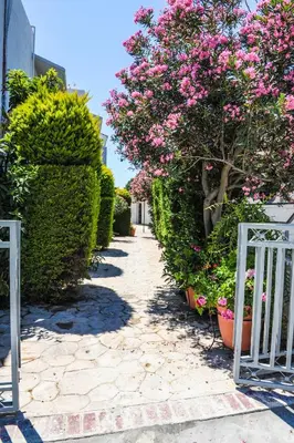 a pathway with pink flowers and bushes at Valentino Hotel in Kremasti