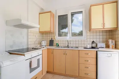 a kitchen with wooden cabinets and a white appliance at Villa Sophie Gennadi in Gennadi