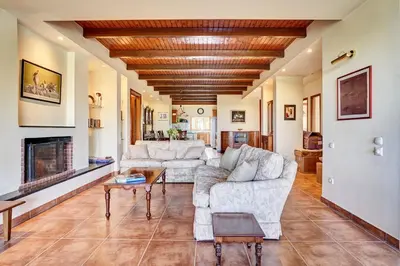a living room with a couch and a fireplace at Villa Eremia in Pastida