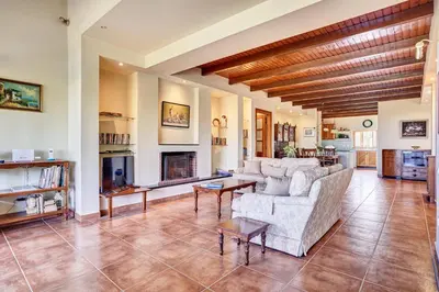 a living room with a couch and a fireplace at Villa Eremia in Pastida